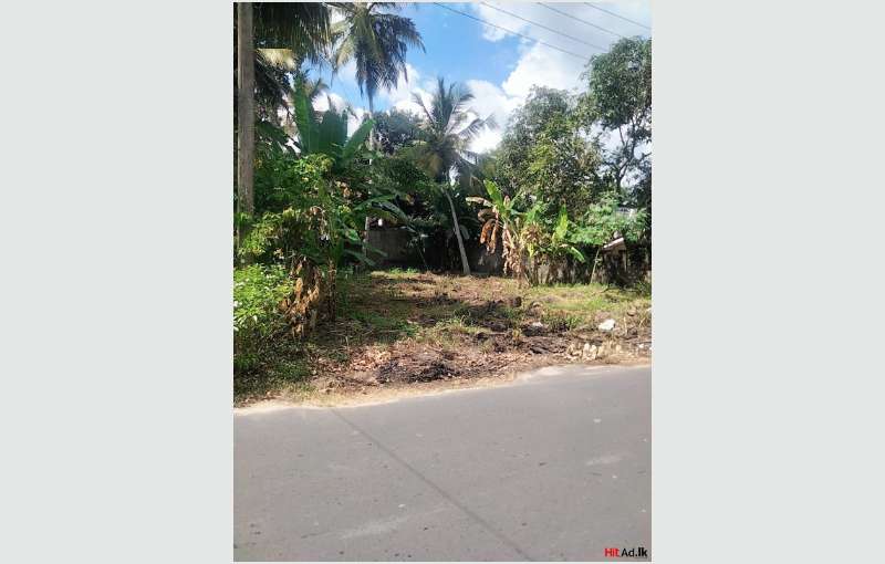 A Prime Plot Of Land For Sale