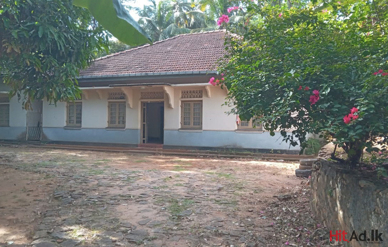 House for rent in Kandy