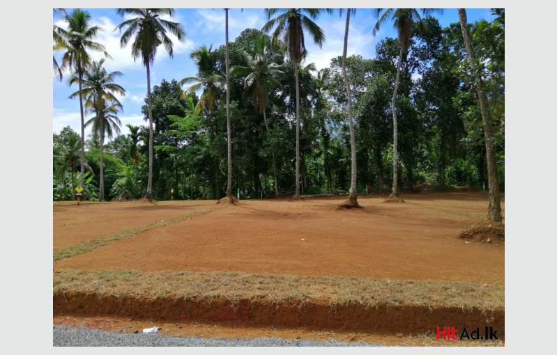 Land For Sale In Koralaima