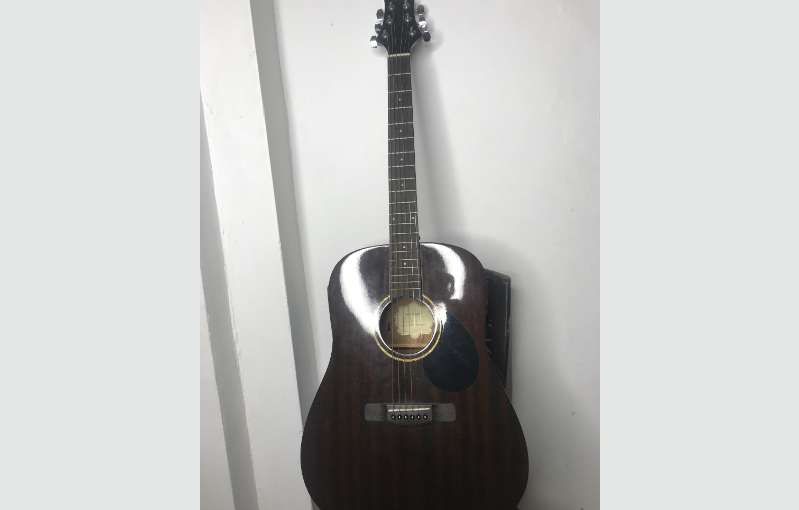 Gereg Benett D-1n Guitar With Professional Case 