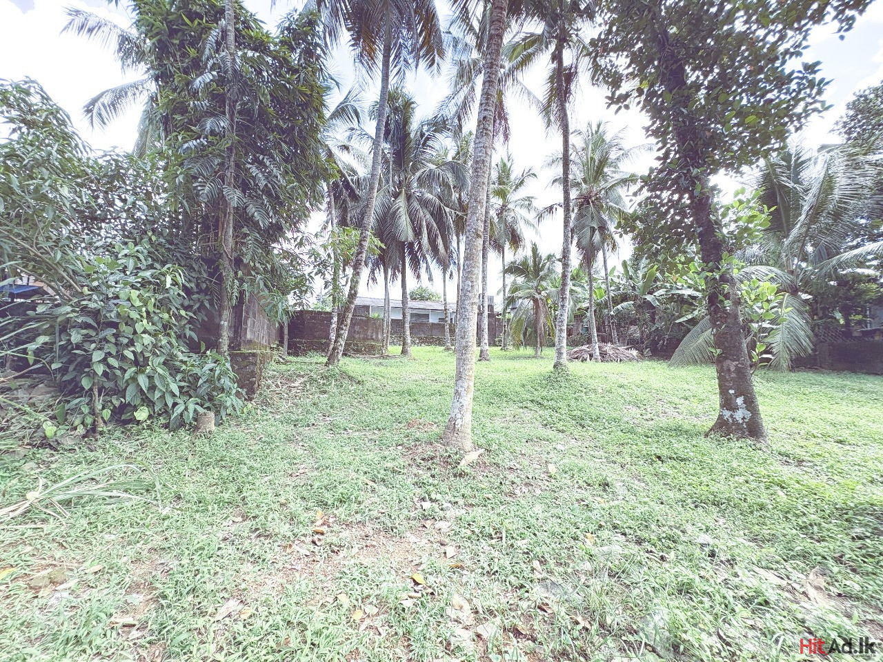 Land for Sale in Kesbewa