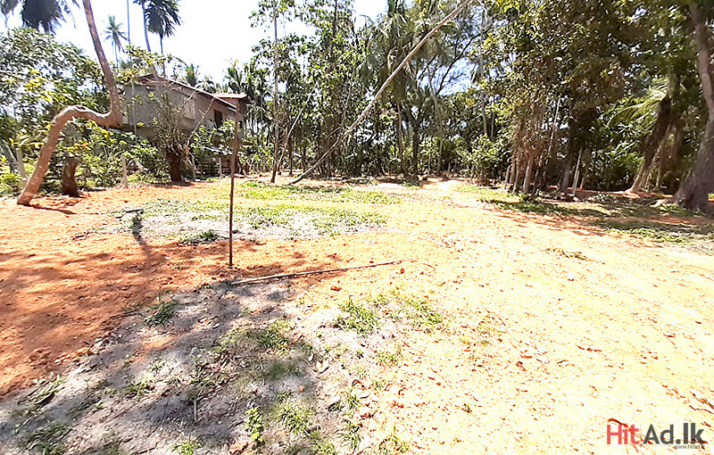 Estates for Sale in Bentota