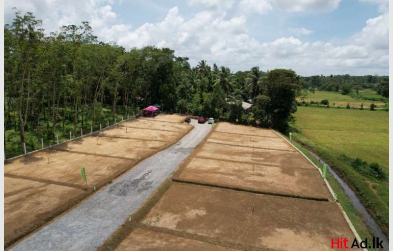 Facing Paddy Field - Watareka