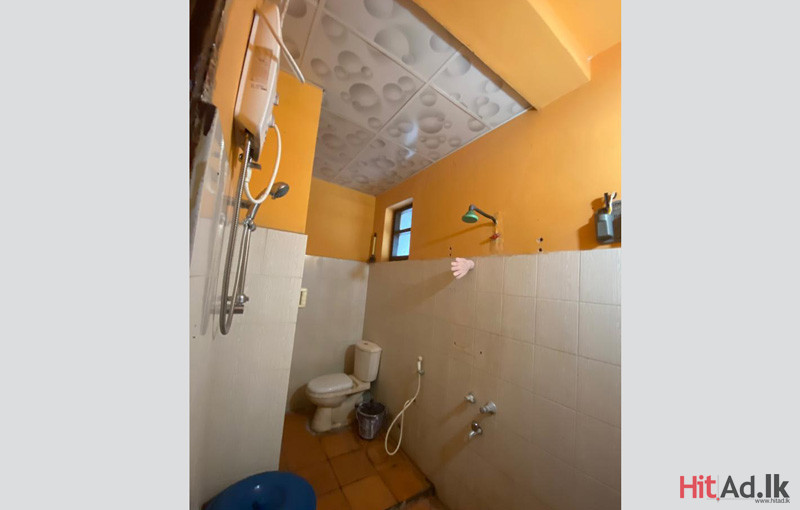 Kurunegala house for sale Property Houses HitAd.lk