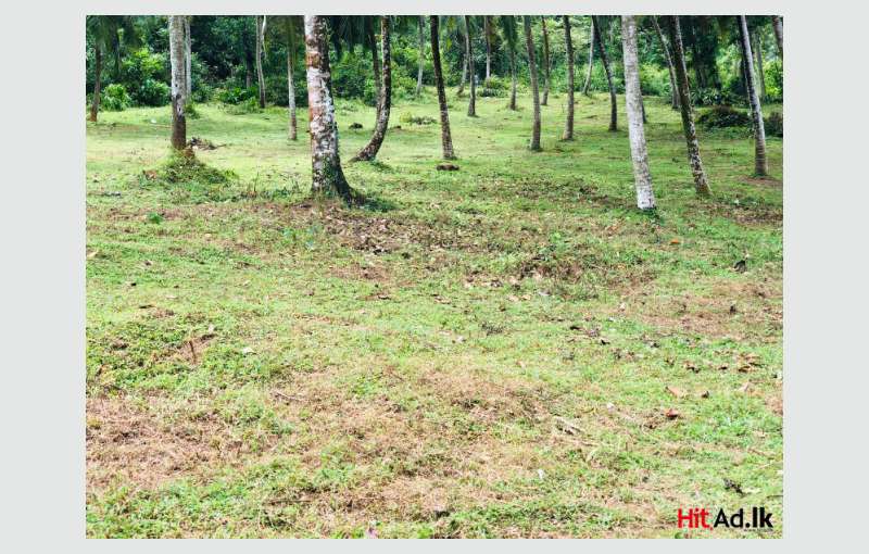 Plots for sale near Homagama town