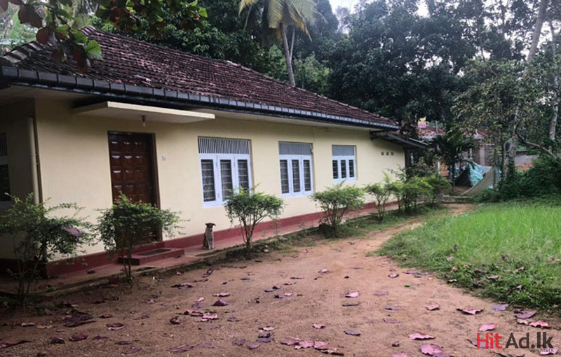 Hitad.lk Kandy house for rent