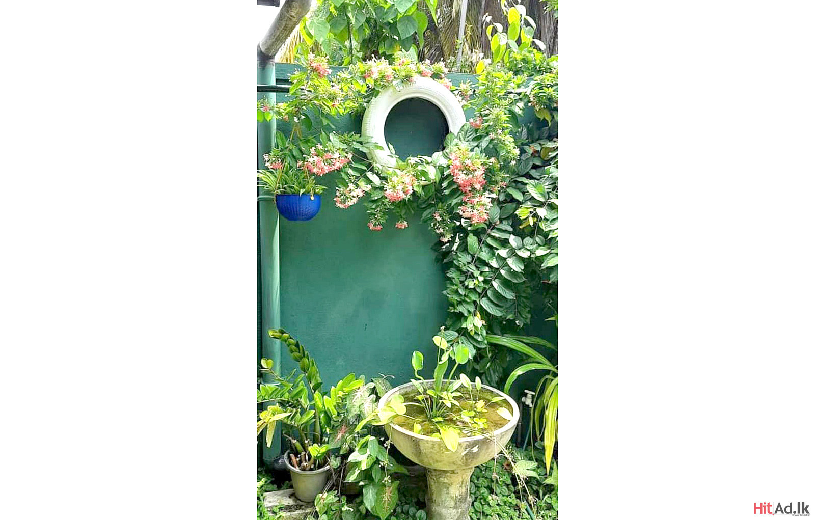 Hitad.lk Moratuwa Two Storey House for Rent