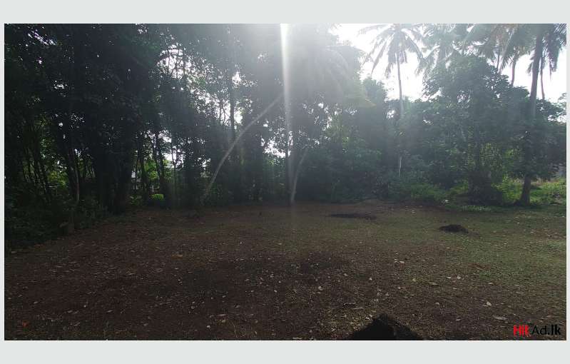 Land For Sale In Gampaha