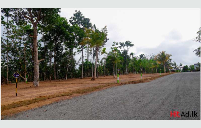 Piliyandala Land For Sale