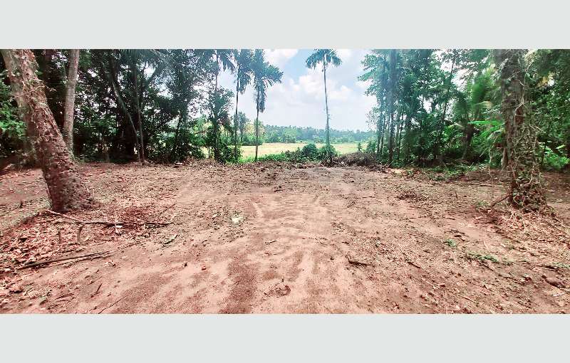 Gampaha land for sale