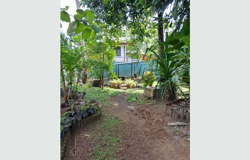 3 Bedroom House In Panadura