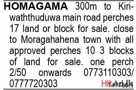 17 land or block for sale