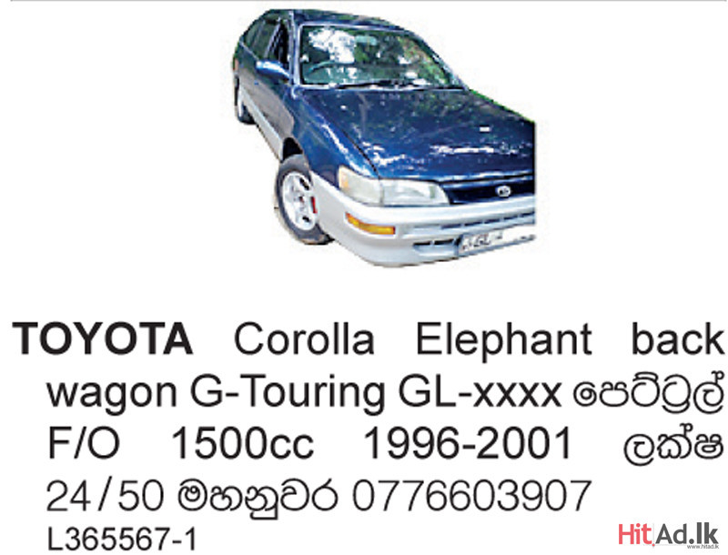 Toyota Corolla Elephant back