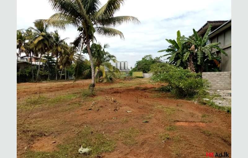 Commercial Land For Sale In Biyagama