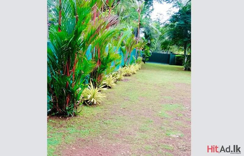 Land for Sale in Panadura