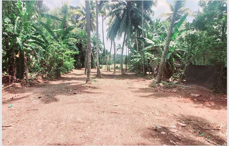 Gampaha land for sale