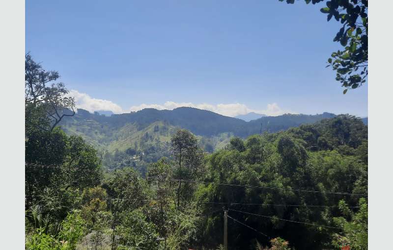A Land with Bungalow in Bandarawela 