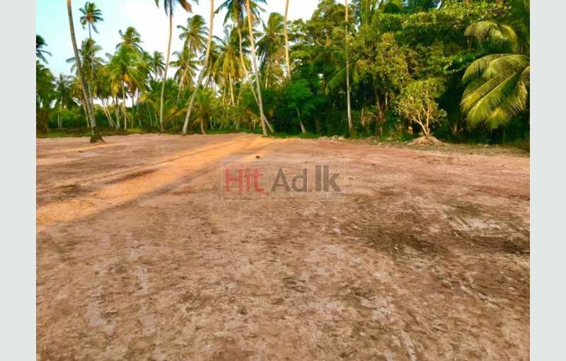 Land for sale in ja-ela Pamunugama 