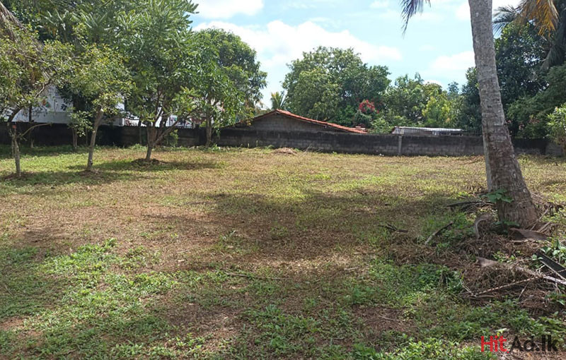 Land for Sale in Kottawa