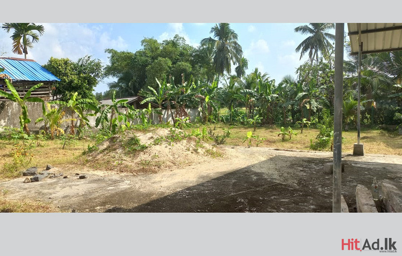 Land for sale in Horana