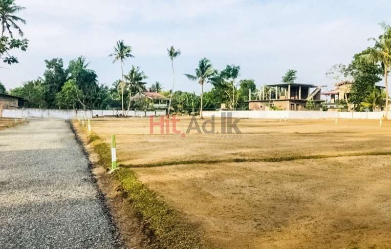 Land For Sale in Wadduwa