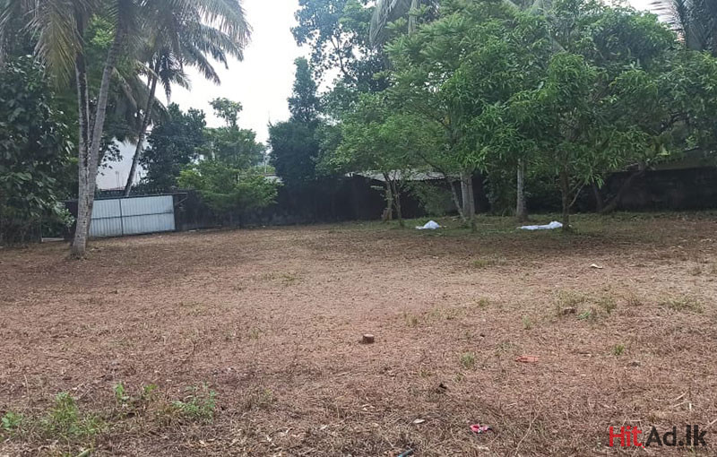 Land for Sale in Kottawa