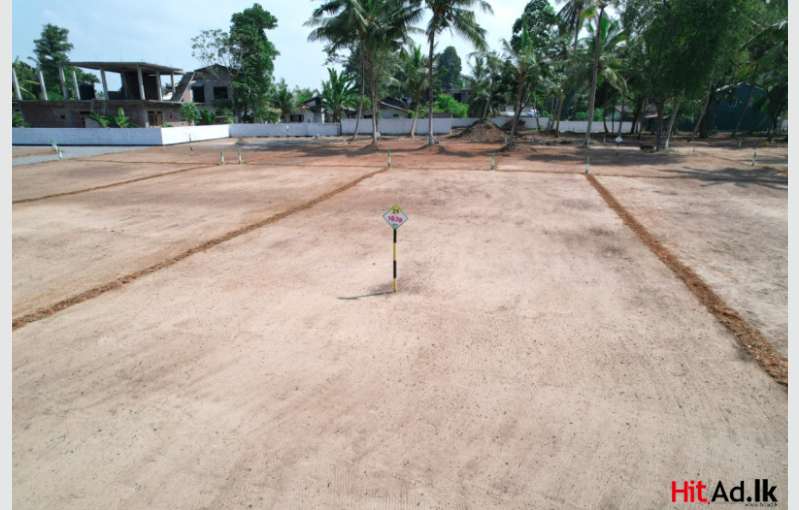 Land For Sale In Wadduwa