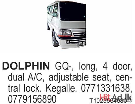 Dolphin Van