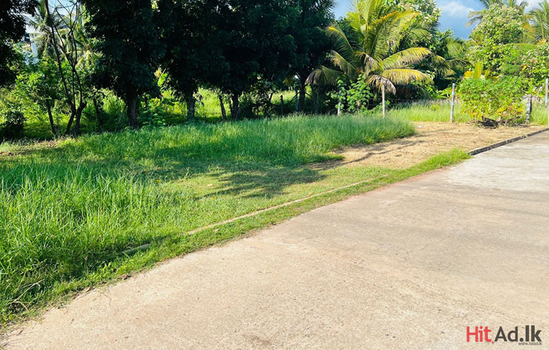 Bare Land for Sale in Negombo 