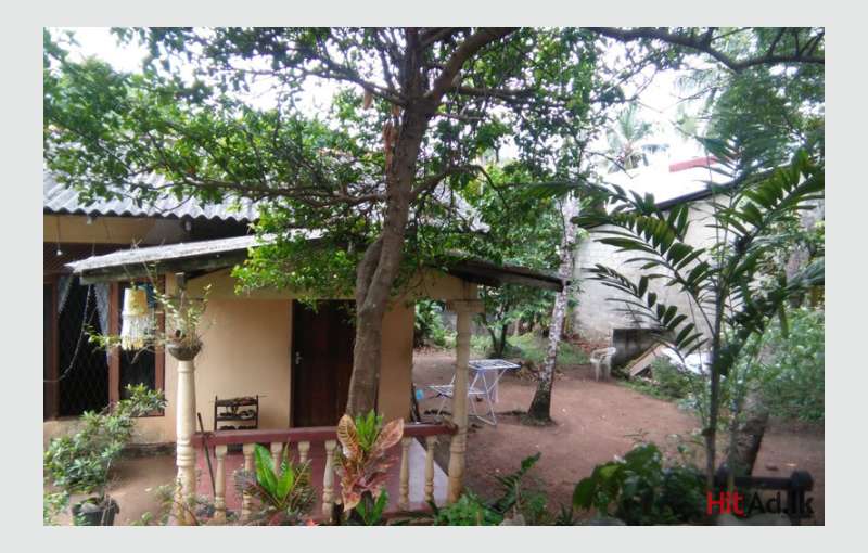 Maharagama house for sale