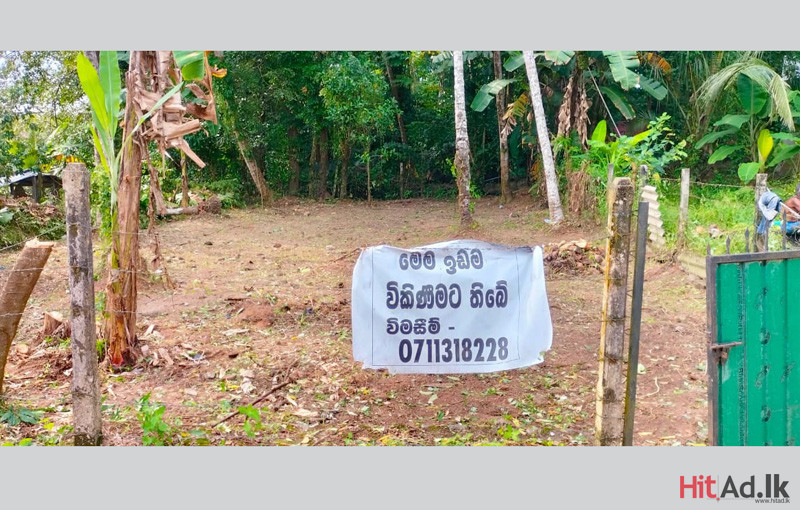 Gampaha land for sale
