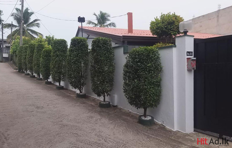 House for sale in Pannipitiya