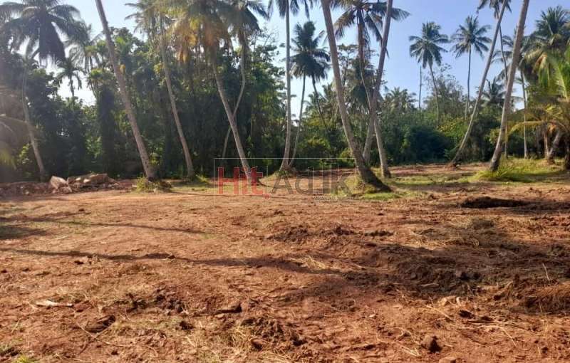 Land  For  sale Nigambo  