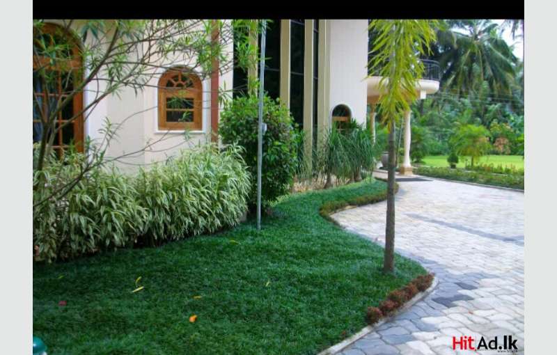 Landscaping And Garden Services 