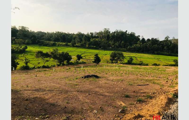 Land For Sale In Induruwa