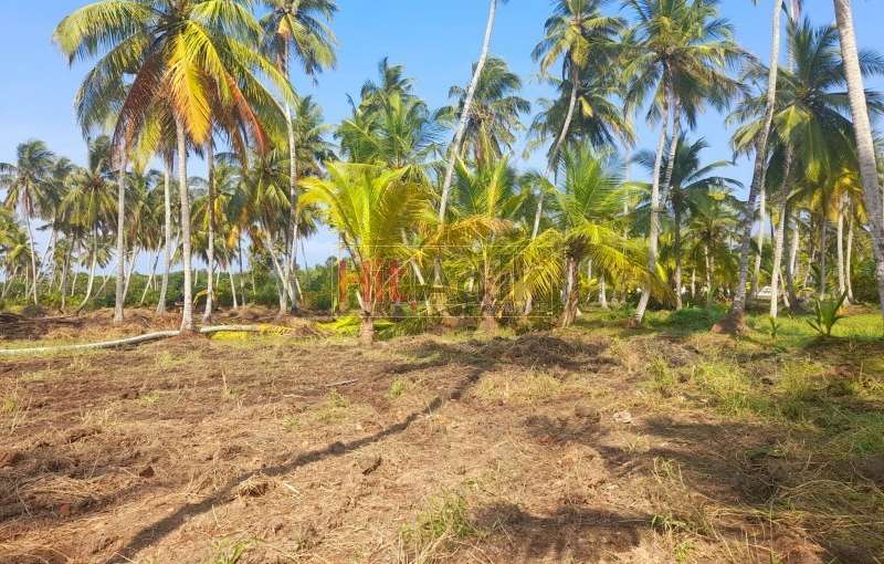 Land  For  sale Nigambo  