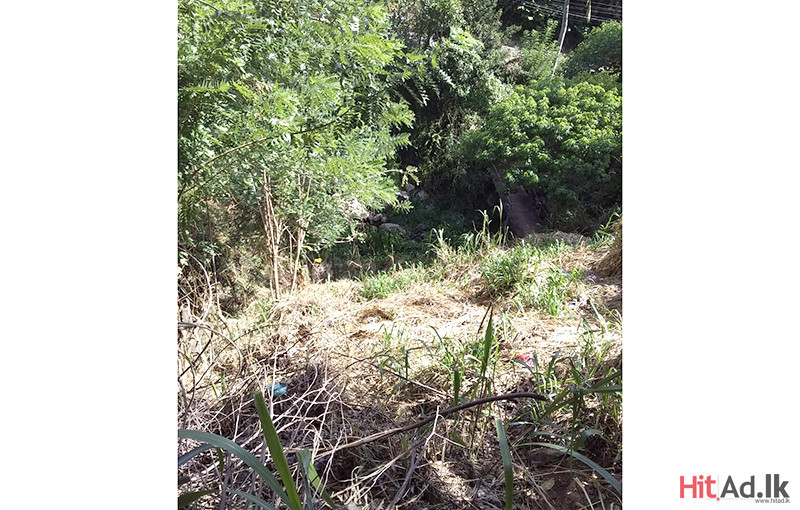 Land for Sale in Peradeniya