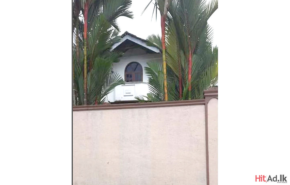Hitad.lk Moratuwa Two Storey House for Rent