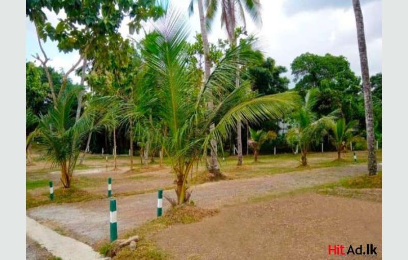 Kadawatha Land For Sale