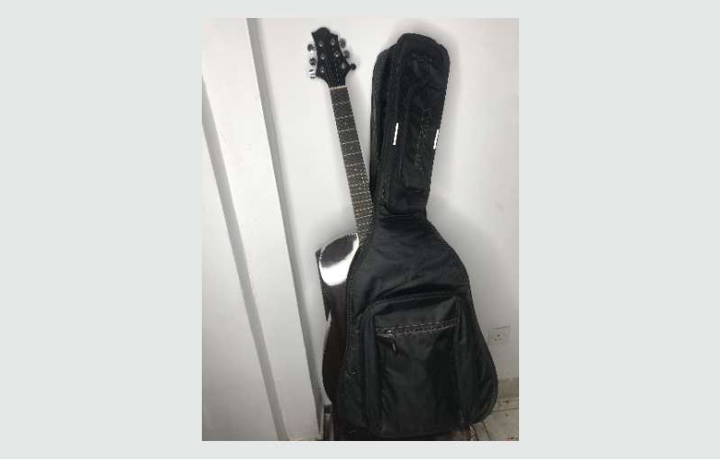 Gereg Benett D-1n Guitar With Professional Case 