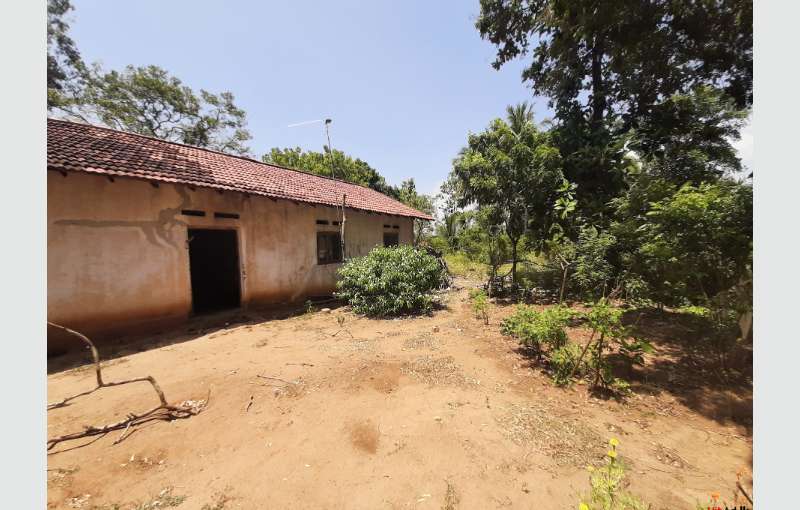 80 Perches Land With A Small House For Sale - Property Lands 