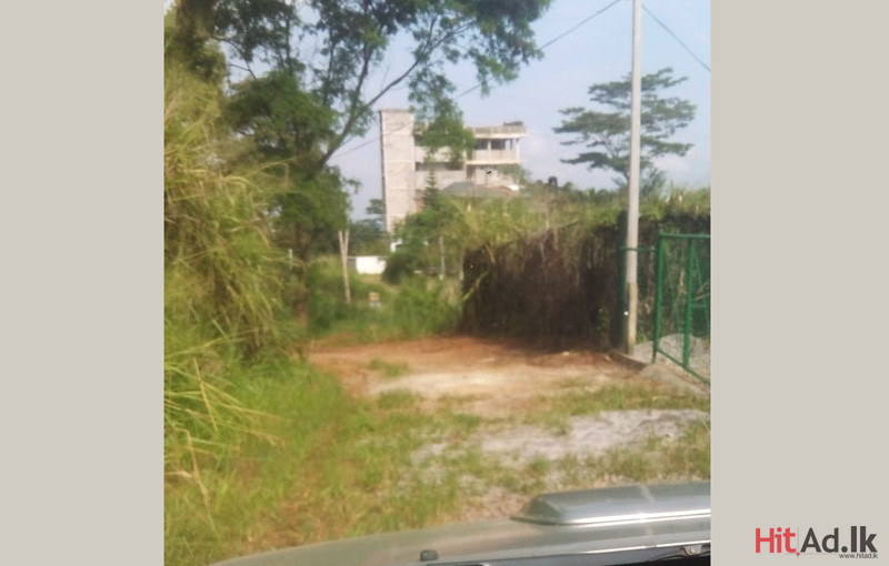 Hitad.lk Kandy land for sale