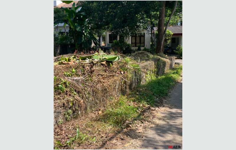 Land For Sale In Walpola , Angoda 