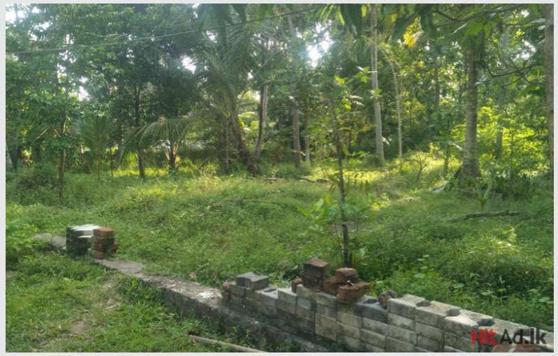 Kuliyapitiya land for sale