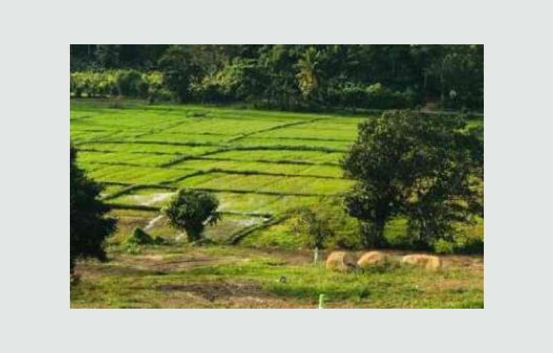 Induruwa Land For Sale