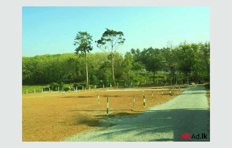 Land for sale in Mandawala