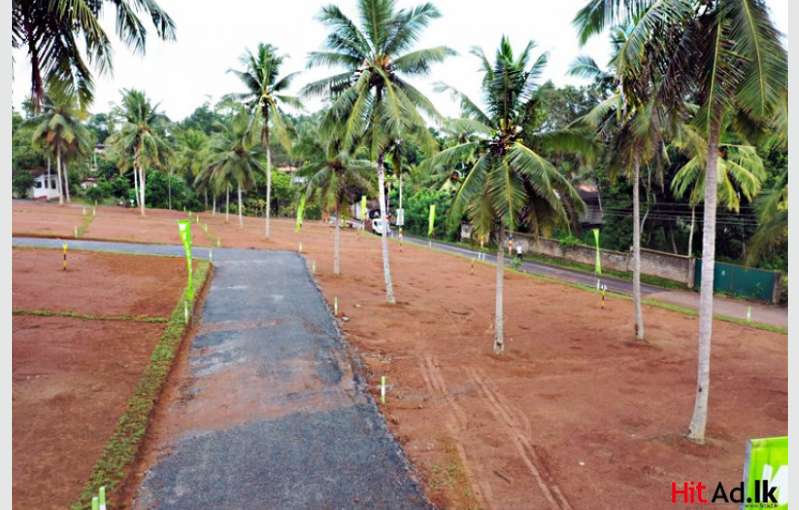 231 Gampaha Kirindiwela Bus Route Near Land For Sale