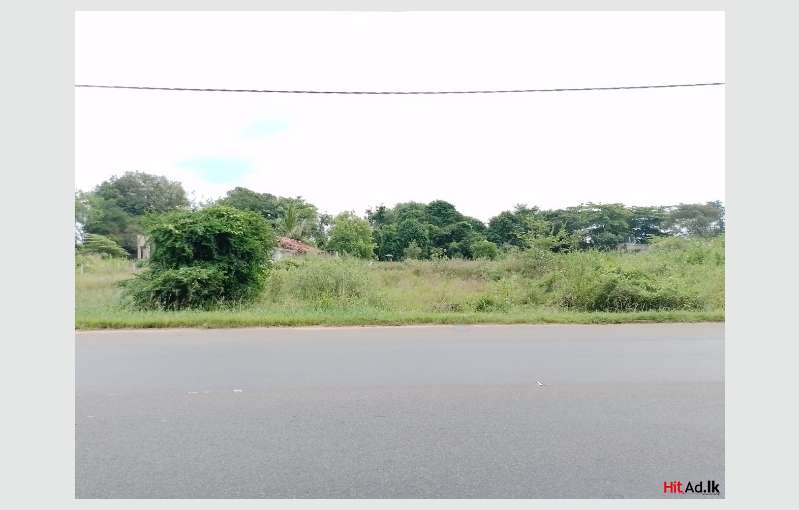 Anuradhapura Land For Sale 