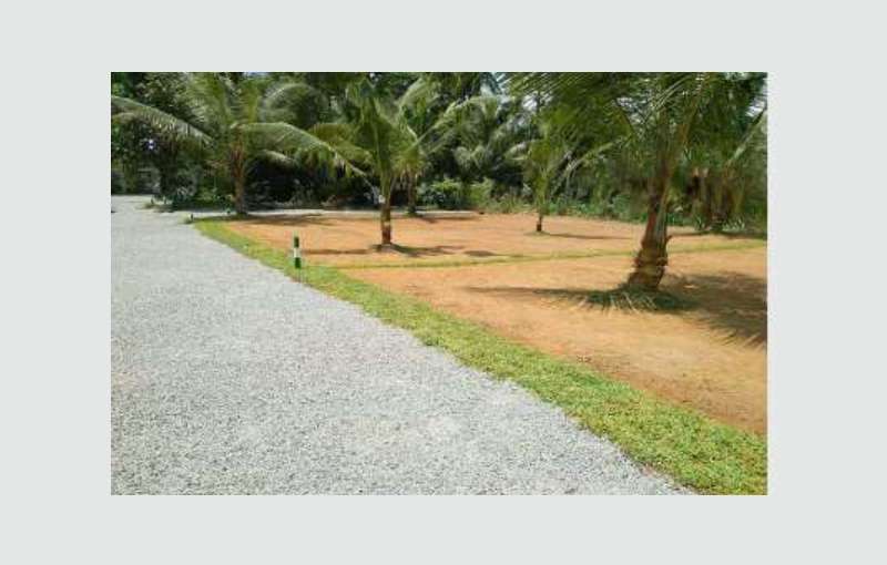 Land for sale in Pugoda