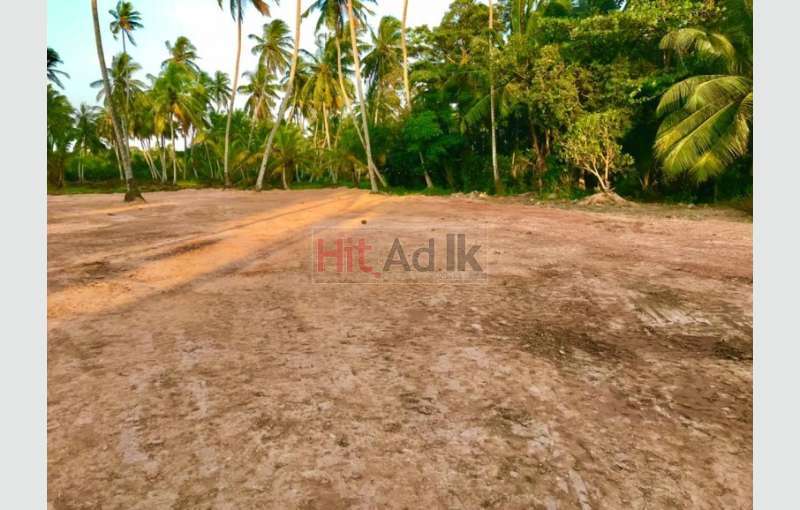 Land for sale in Ja-ela Pamunugama 